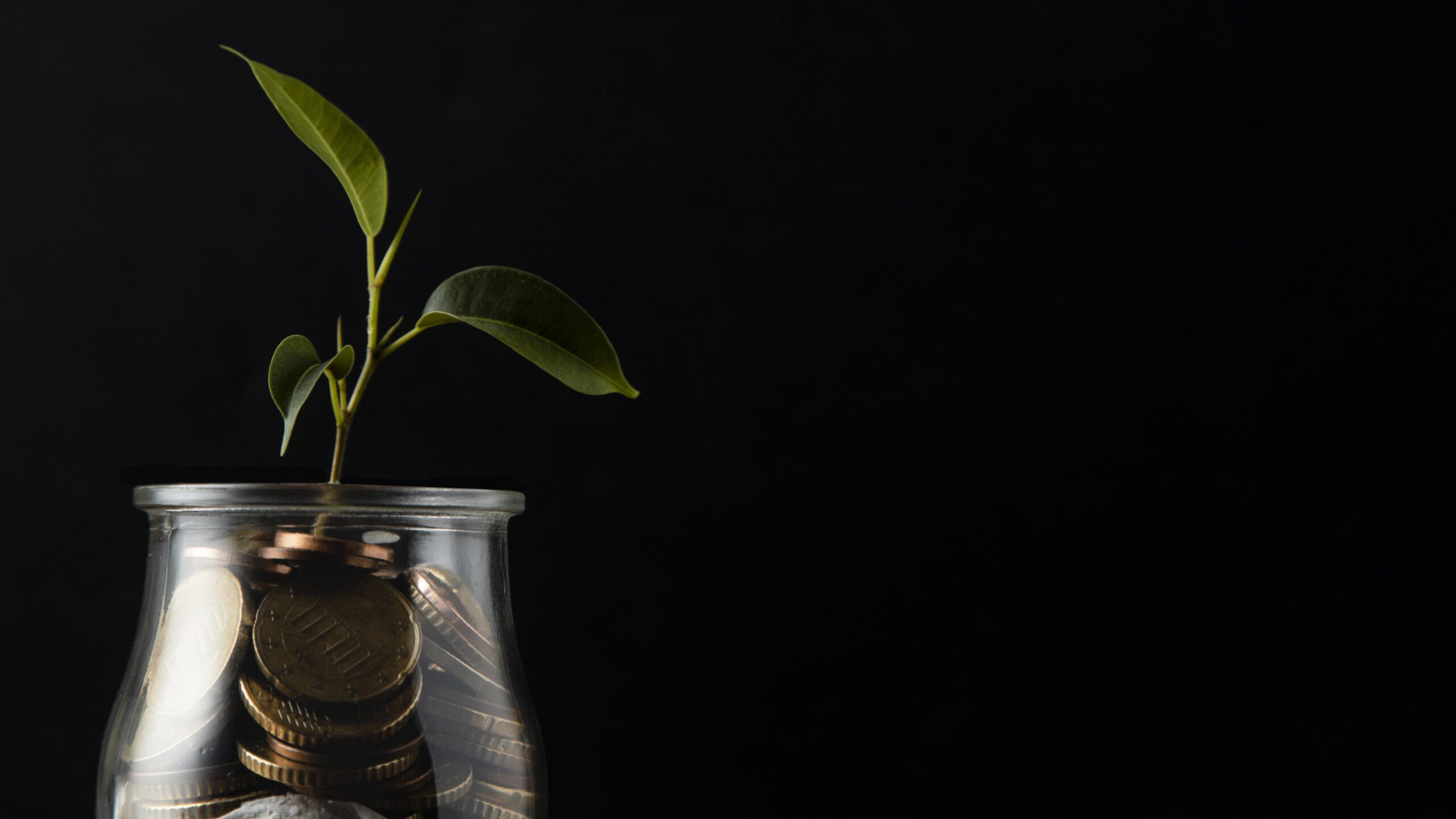 Financial Goals Planning?>